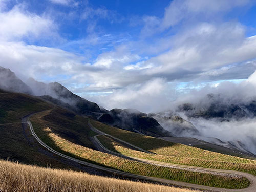 The Grasberg stockpile remediation project already is showing signs of success as native wildlife and plants return to the area.