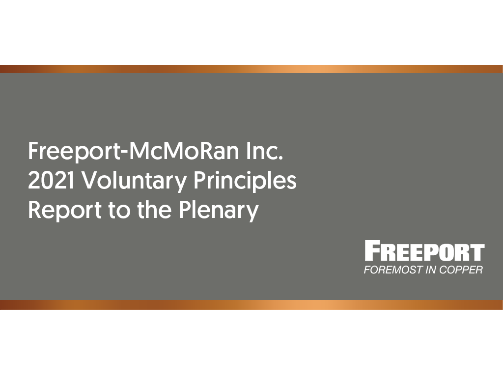 2021 Voluntary Principles Report to the Plenary